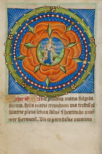 Rosary with Virgo Lactans by Unbekannt Unbekannt